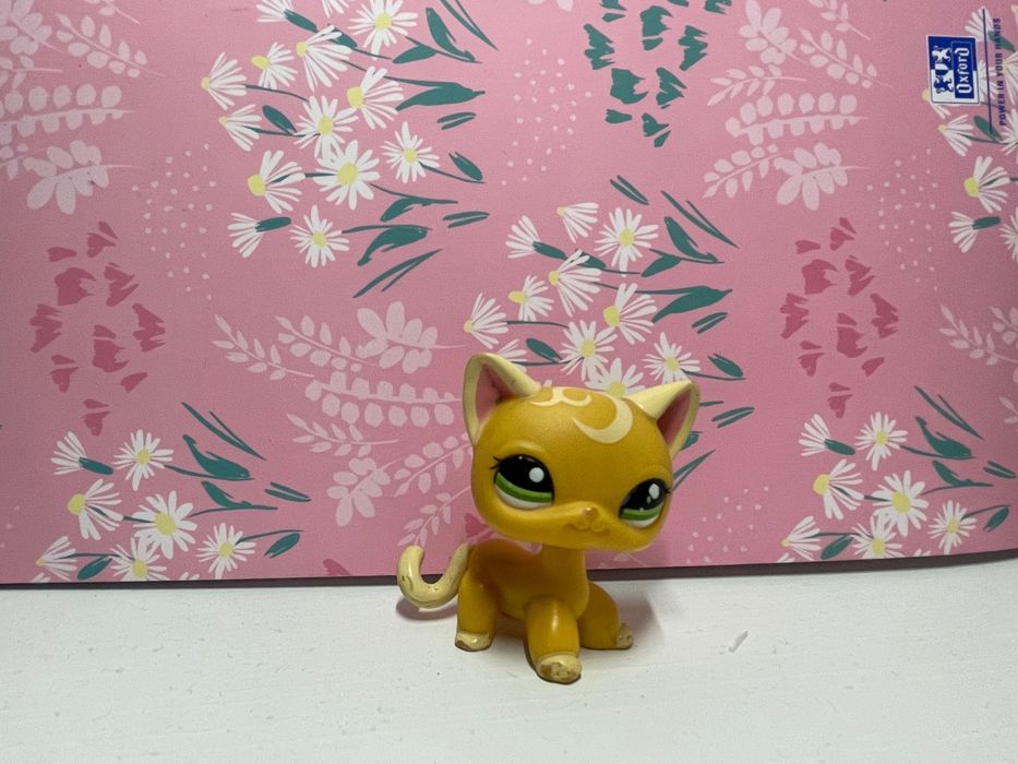 Littlest pet shop shortcat unikat #2194 Wodzisław Śląski •