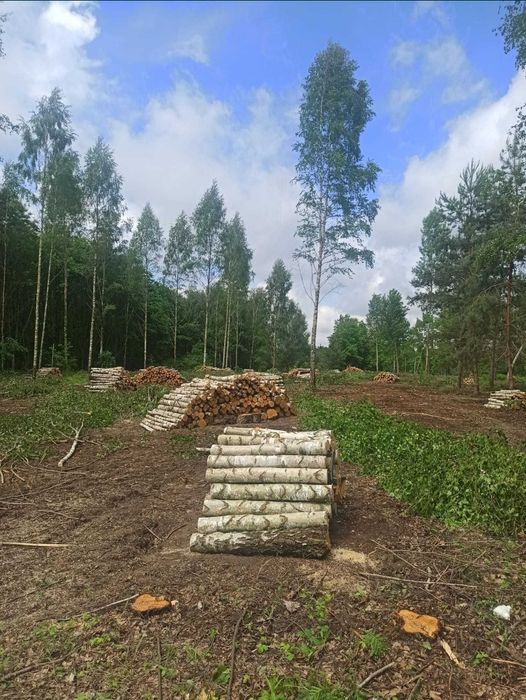 Brzoza, sosna, osika drewno opałowe kominkowe 1,25 pruszkow