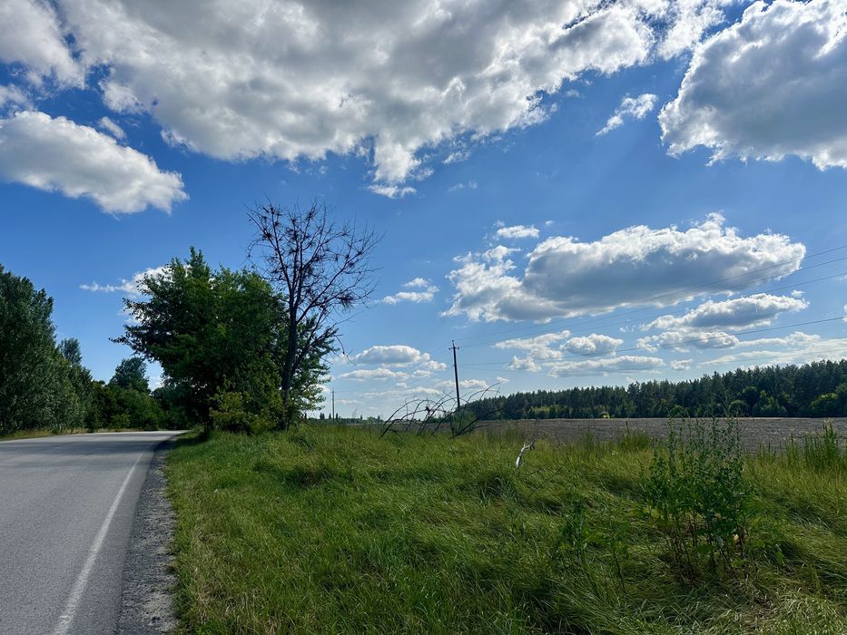 Земельні ділянки біля Житомирської траси! Від 4,5га