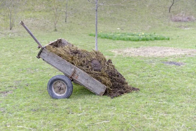 Manure Transportation