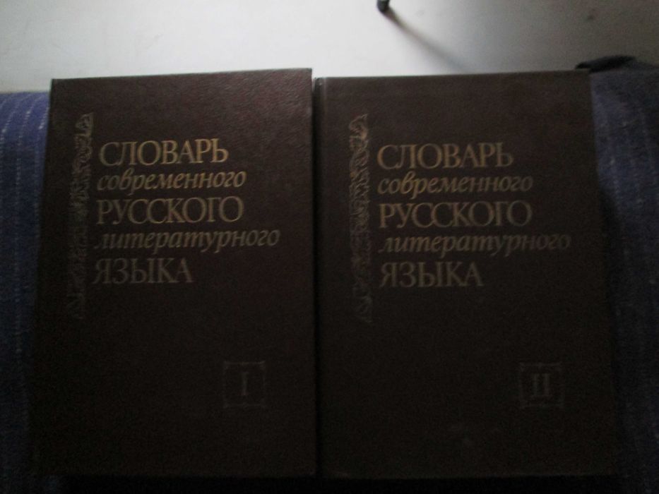 Словарь современного русского литературного  языка