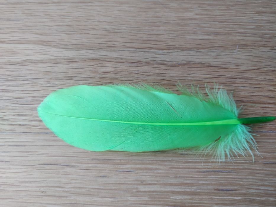 Penas Verdes e Rosas de Ganso 15-20 cm