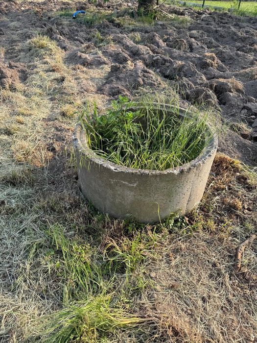 Kamienny krąg oddam za darmo