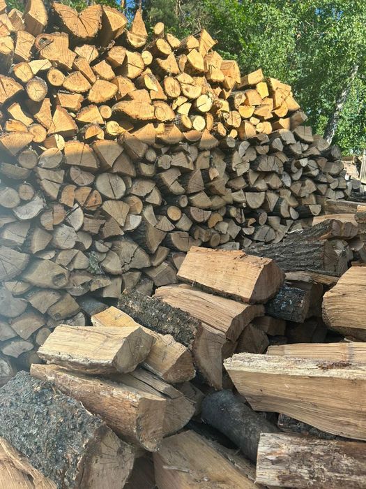 Продам дрова дубовые