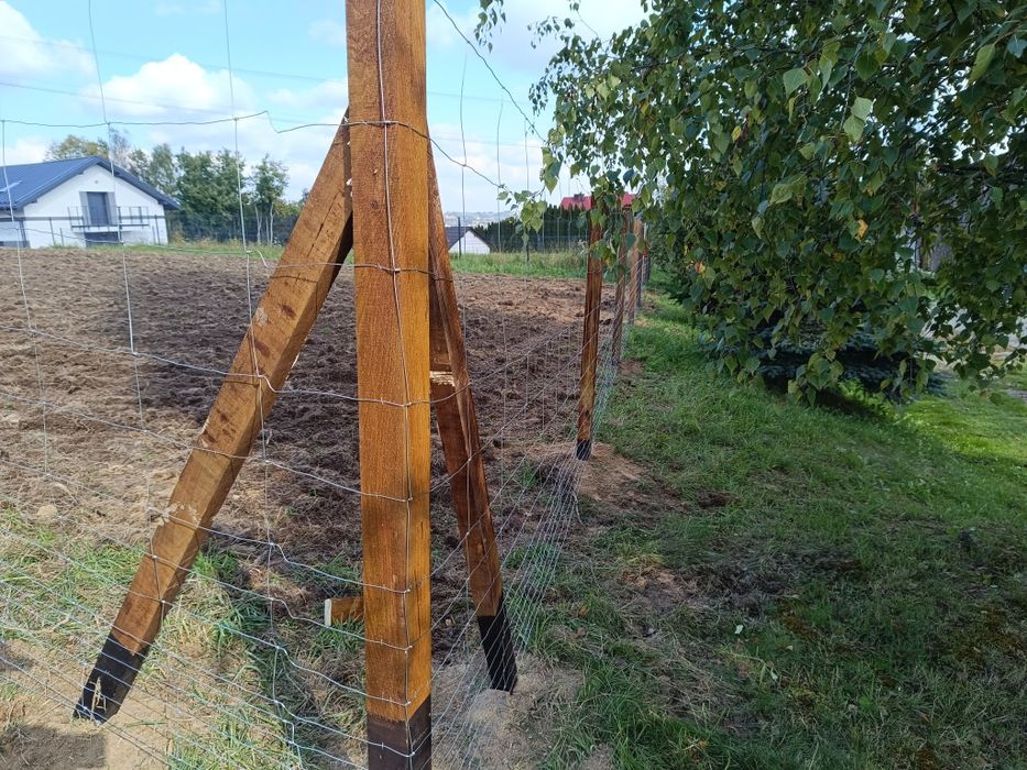 Ogrodzenia tymczasowe siatka leśna słupek betonowy drewniany