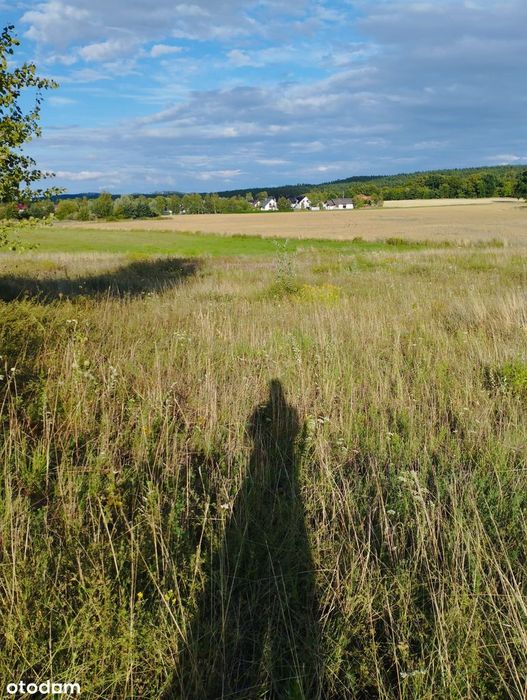 Działka 3160 m2 z pozwoleniem na budowę w Trąbkach Wielkich