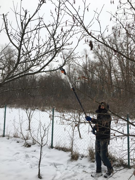 Обрізка дерев, плодових та ягідних насаджень - Чернігів і область