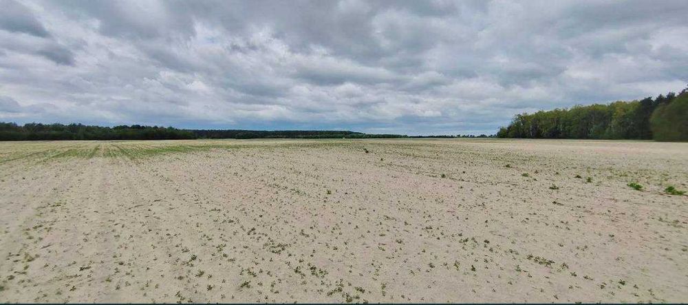 Земельна ділянка під СГ в Андріївці!