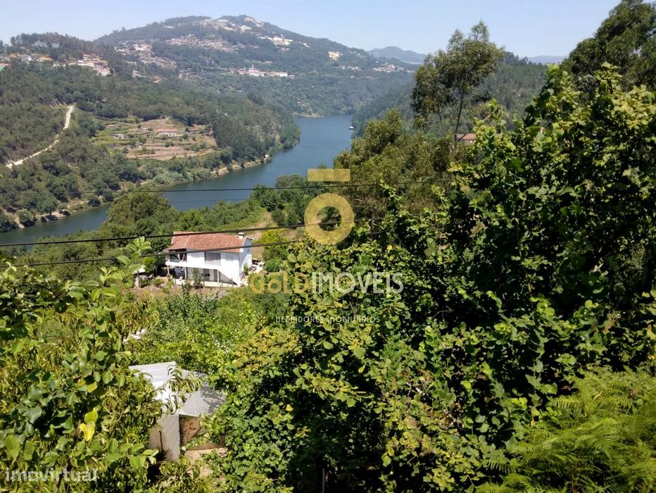 Terreno Rústico — Travanca, Viseu