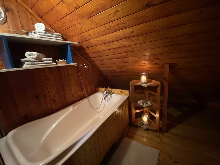 Leśny Czar-Dom na wynajem