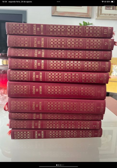 Conjunto de 20 livros de história, ciências, dicionário e outros