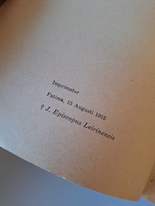 Nossa Senhora de Fátima, peregrina do mundo