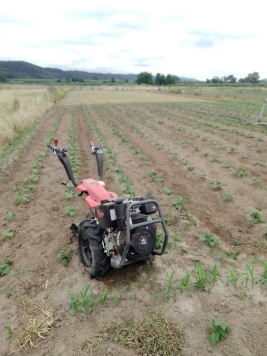 Motocultivador a Diesel