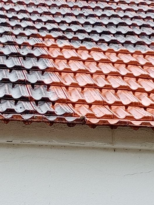 Problemas com o seu telhado?