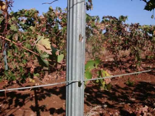 Poste Metálico para Vinhas (NOVO) (VÁRIOS TAMANHOS) (NOVO)
