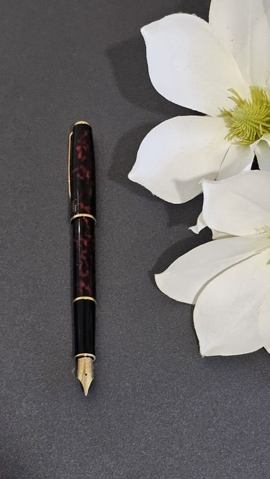 Pióro Parker Sonnet ze złotą 18K stalówką Unikat dla kolekcjoner