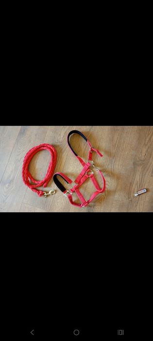 Kantar gruby full + uwiąz