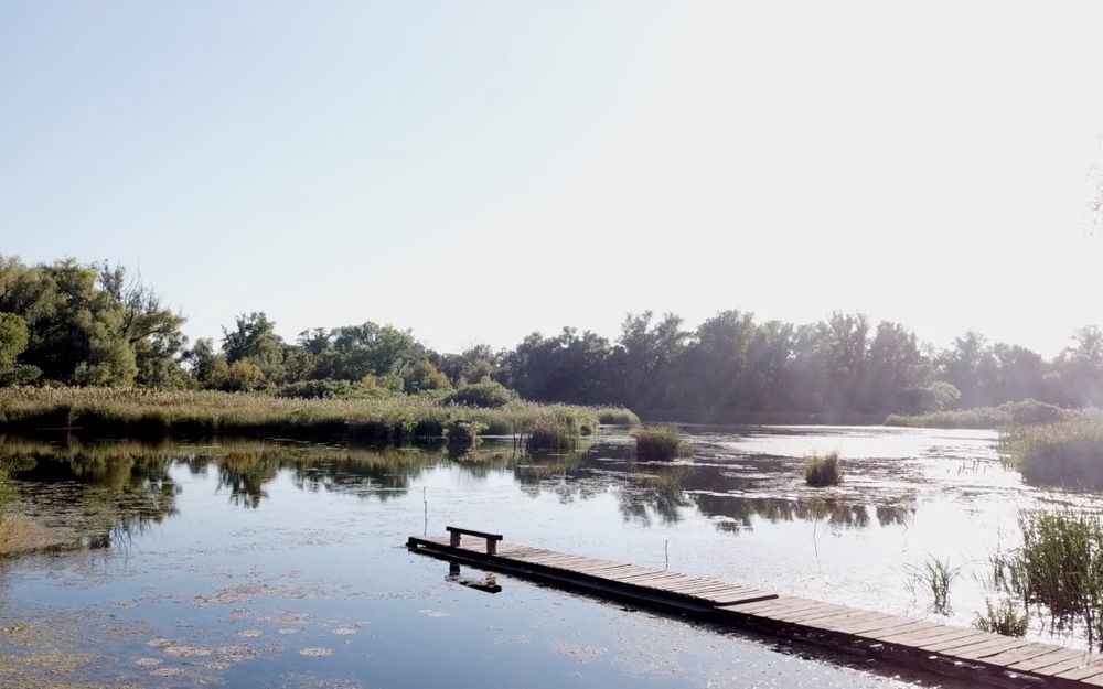 Аренда беседки , отдых, мангал, свадьбы , банкет
