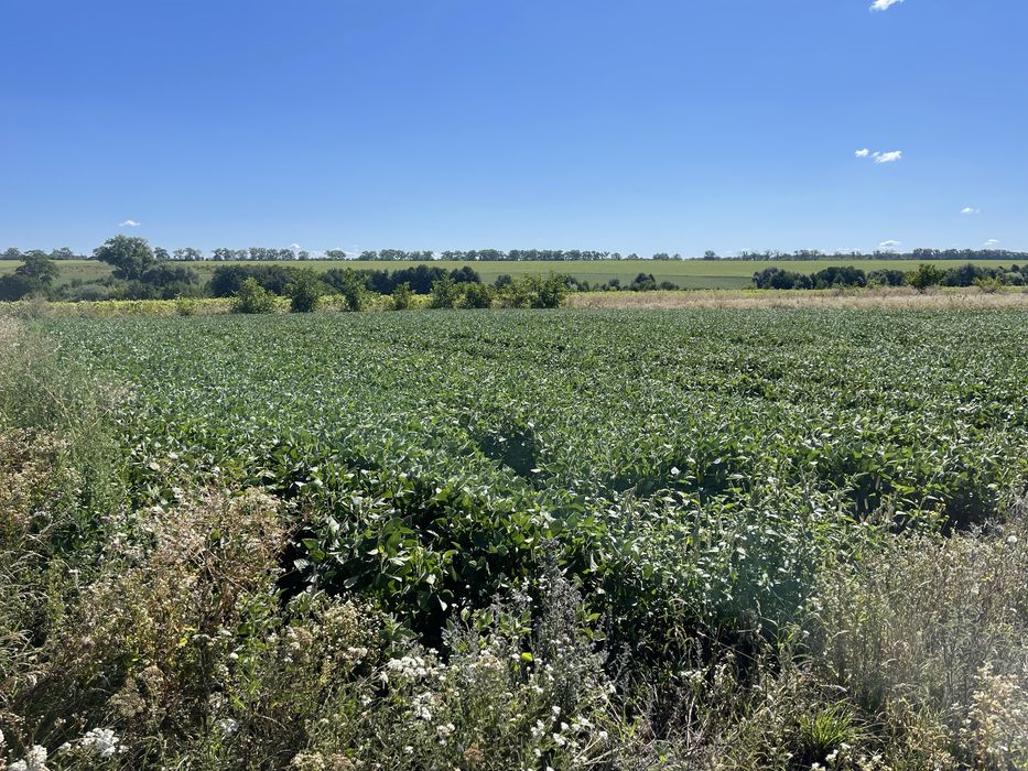 Продам Земельна ділянка 15с під забудову