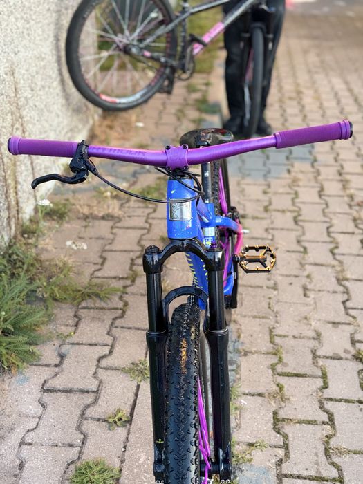Marin Alcatraz 2023 custom