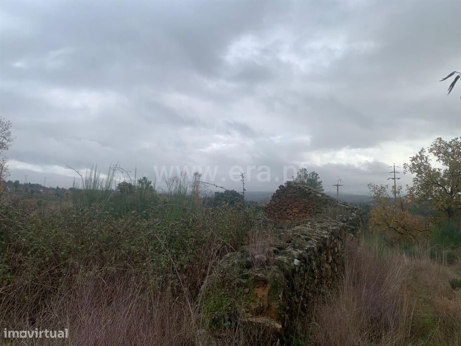 Quintinha T1 / Fundão, Pêro Viseu