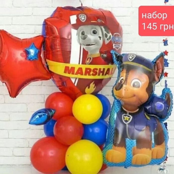 Фотозона щенячий патруль на день рождения гонщик крепыш маршал арка