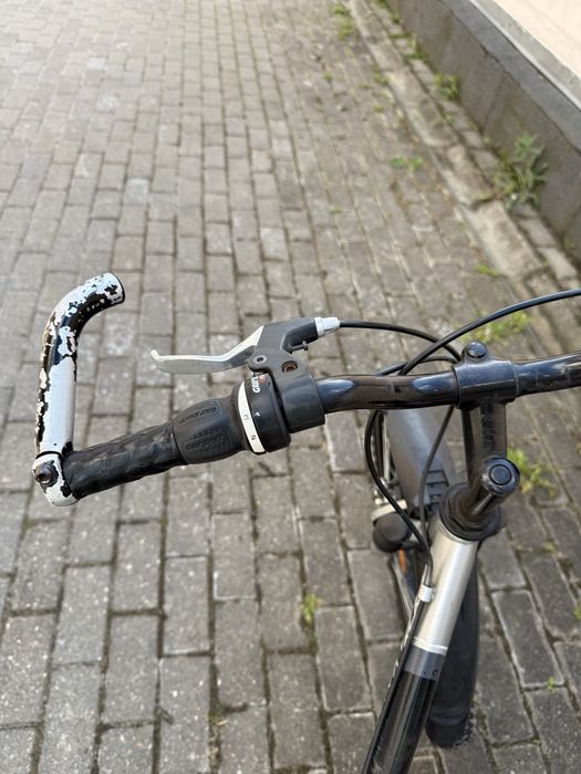 Rower Trekkingowy Giant Thrive 26” | Giant Cross