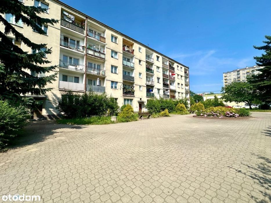 Zdjęcie 3
