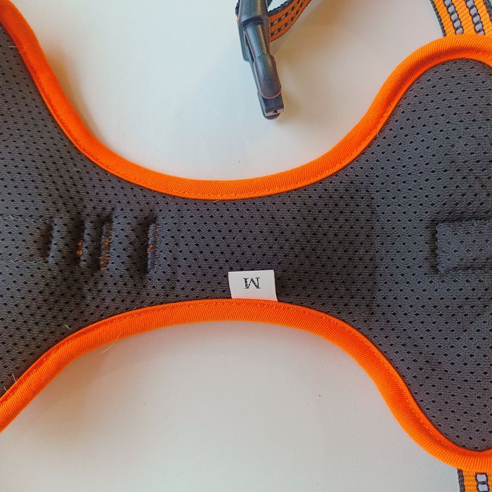 Шлея Funfox анатомічна для собачки