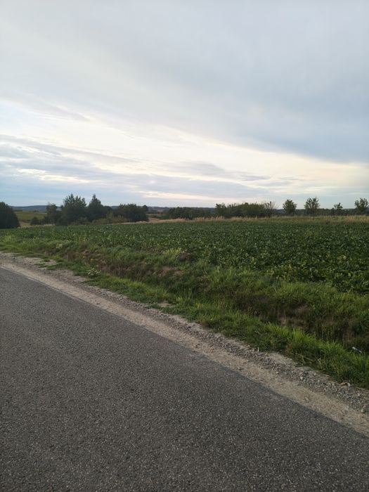 Działka 20 ar widokowa pod dzialalność gospodarczą - Widok 3