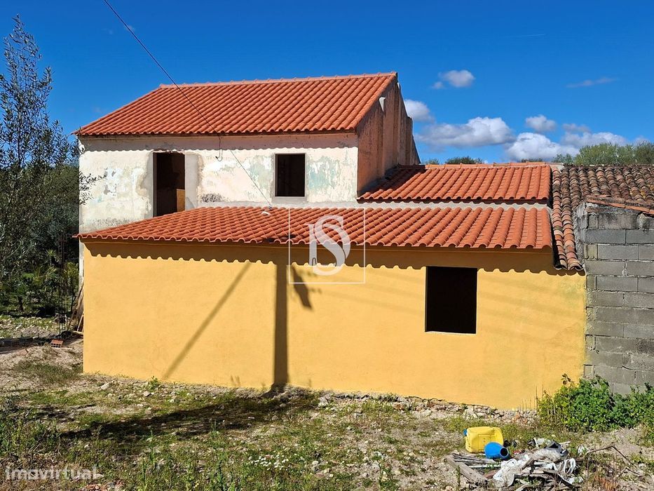 Quintinha no Alentejo com 4.000 m² junto à Ribeira – Excelente potenci