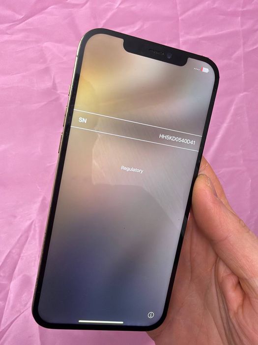 iPhone 12 Pro Max під ремонт