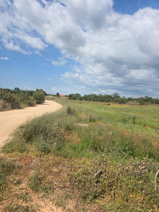 Terreno Rústico Alcantarilha