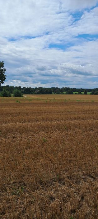 Sprzedam gospodarstwo rolne 18 ha