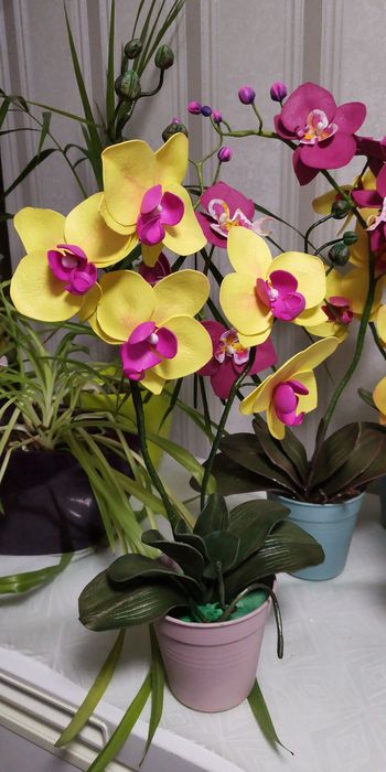 Орхідеї квіти для декору поларунок