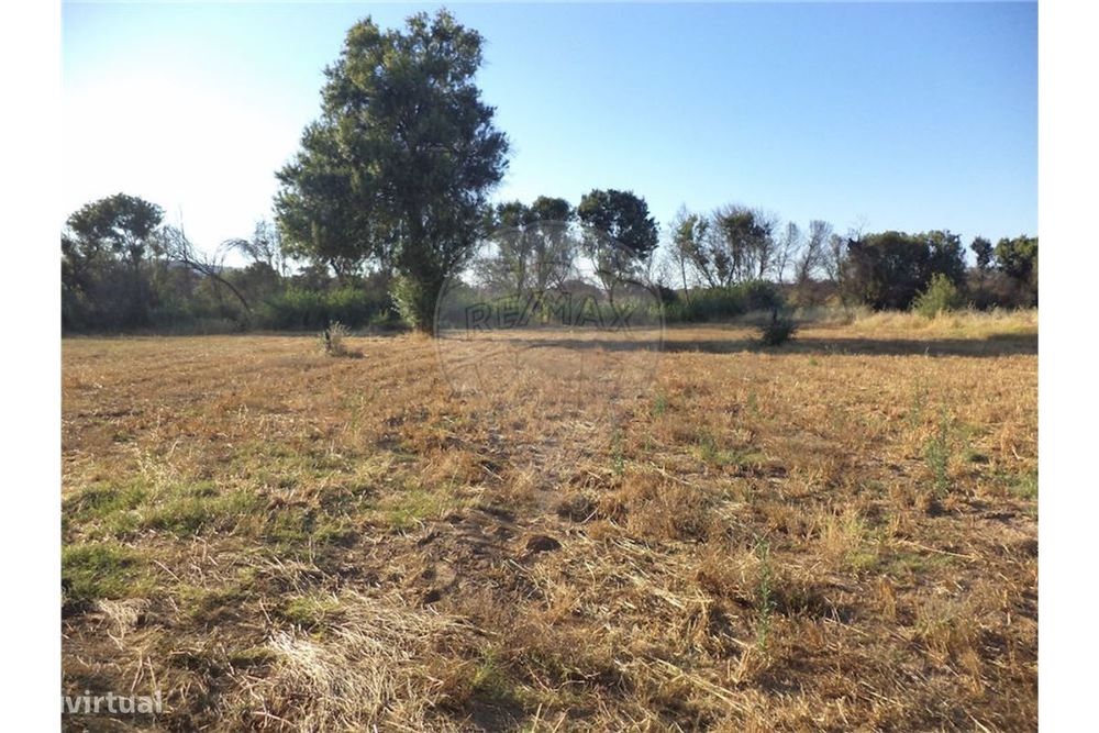 Quinta T0 para venda — Penamacor, Castelo Branco