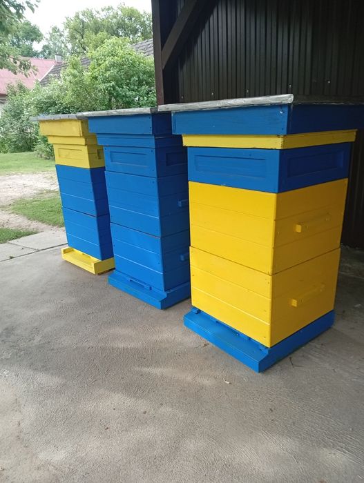 Ule wielkopolskie diesięcio ramkowe