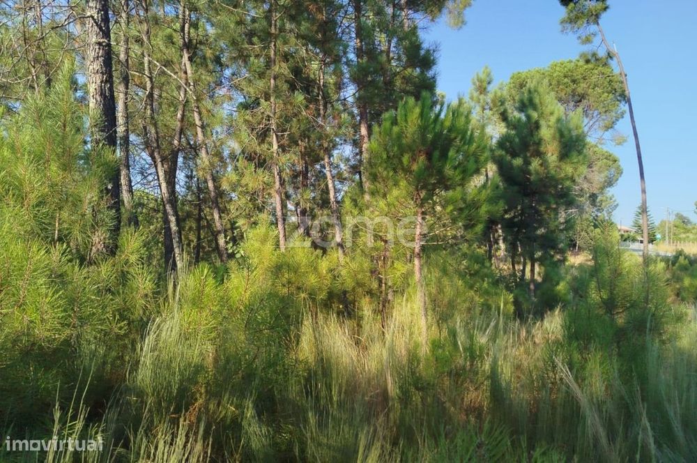 Terreno, Santiago de Cassurrães e Póvoa de Cervães