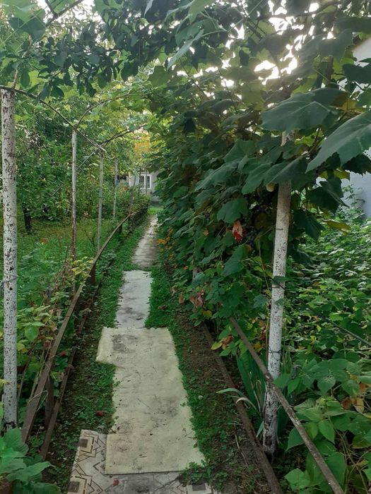 Продаж землі у Центрі.