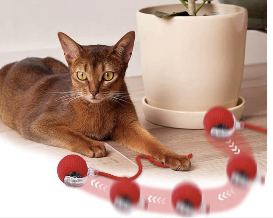 Brinquedo para gatos