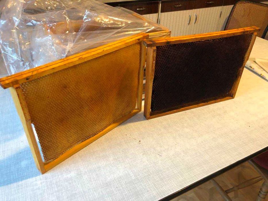 ramka z suszem wielkopolska hoffmanowska