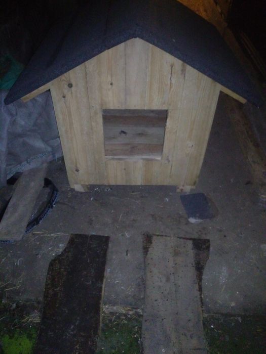 Buda dla psa różne wymiary