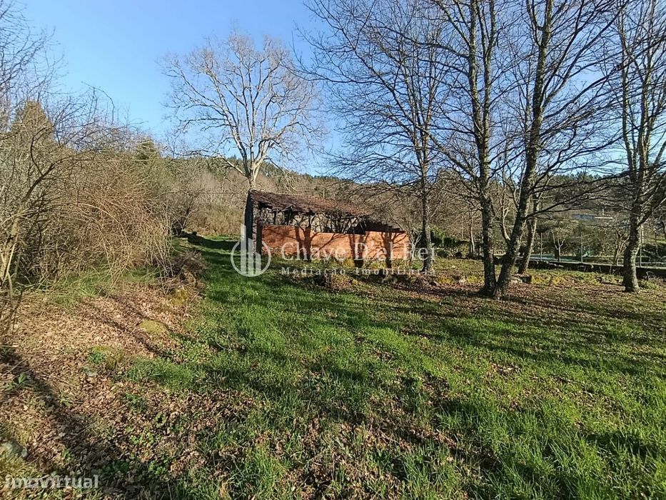 Terreno  Venda em Couto de Baixo e Couto de Cima,Viseu