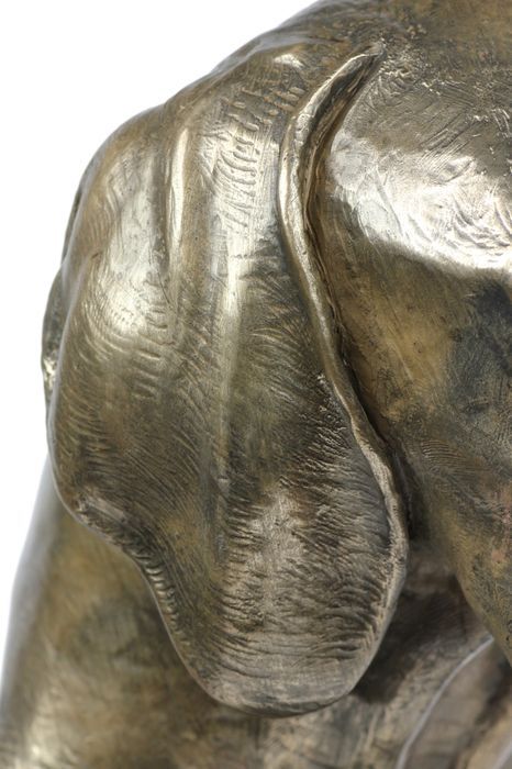 Wyżeł weimarski głowa na kamieniu Art-Dog