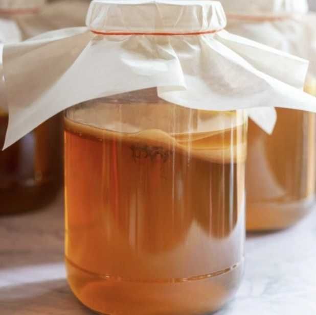Kombucha 10 cm – grzybek SCOBY + płyn startowy + ściereczka + ulotka