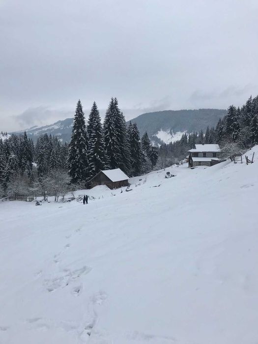 Земля під будівництво земельна ділянка в Карпатах Верхонина