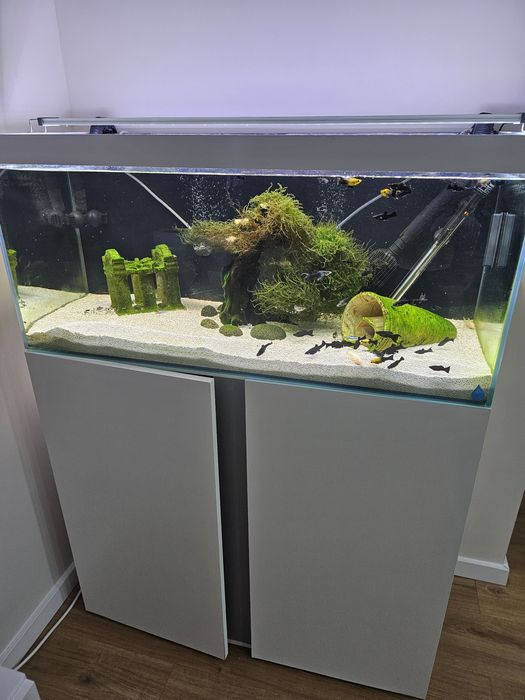 Aquário com filtro fx4