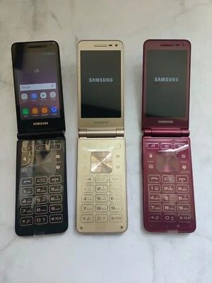 Смартфон Samsung Galaxy Folder 2 SM-G1650