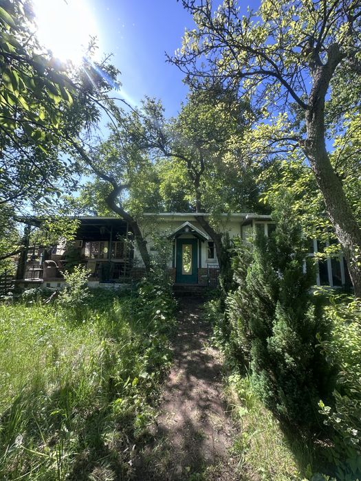 działka ROD Szczecin (Działka nr 238) z domkiem i oranżerią