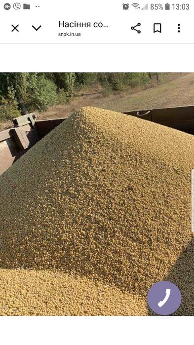 Продам сою ГМО  аполло